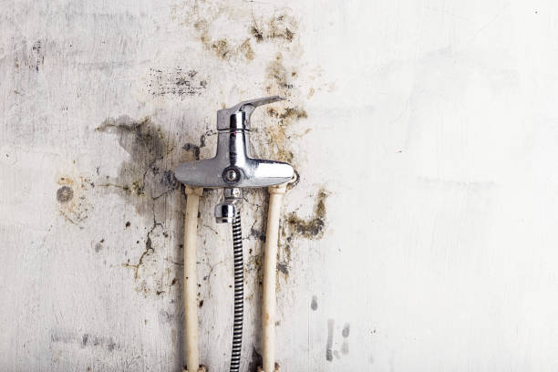 Best Water Damage Restoration  in Gridley, CA