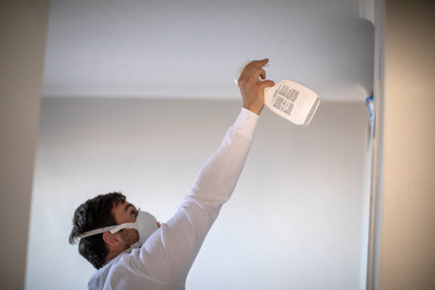 Best Certified Mold Removal  in Gridley, CA