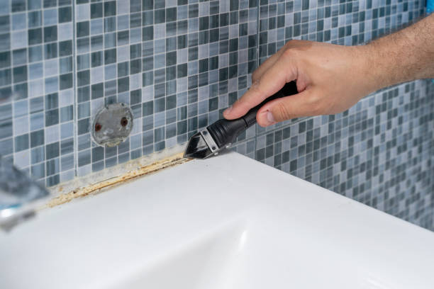 Gridley, CA Mold Removal Company