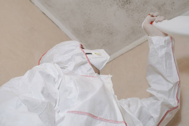 Best Fast Mold Removal  in Gridley, CA